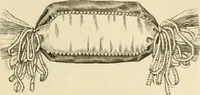 An illustration from Needle and brush: (1889)