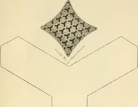 An illustration from Needle and brush: (1889)