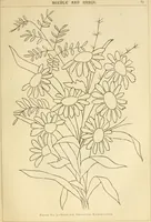 An illustration from Needle and brush: (1889)