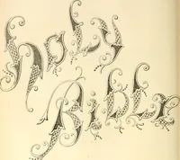 An illustration from Needle and brush: (1889)