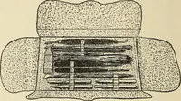 An illustration from Needlecraft (1911)