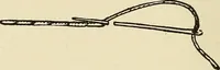 An illustration from Needlecraft (1911)