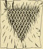 An illustration from Needlecraft (1911)