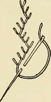An illustration from Needlecraft (1911)