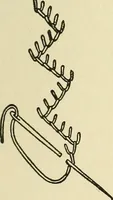 An illustration from Needlecraft (1911)