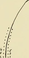 An illustration from Needlecraft (1911)