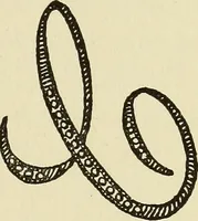 An illustration from Needlecraft (1911)