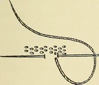 An illustration from Needlecraft (1911)