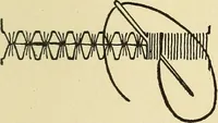 An illustration from Needlecraft (1911)