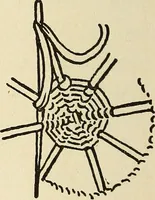 An illustration from Needlecraft (1911)