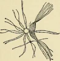 An illustration from Needlecraft (1911)