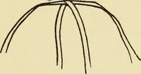 An illustration from Needlecraft (1911)