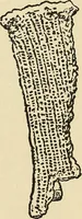 An illustration from Needlecraft (1911)