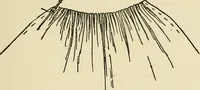 An illustration from Needlecraft (1911)