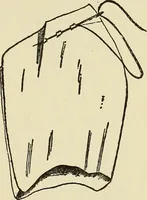 An illustration from Needlecraft (1911)