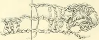 An illustration from Needle-craft: artistic and practical (1889)