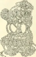 An illustration from Needle-craft: artistic and practical (1889)