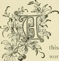 An illustration from Needle-craft: artistic and practical (1889)