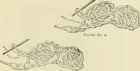 An illustration from Needle-craft: artistic and practical (1889)