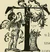 An illustration from Needle-craft: artistic and practical (1889)