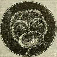 An illustration from Needle-craft: artistic and practical (1889)