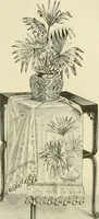 An illustration from Needle-craft: artistic and practical (1889)