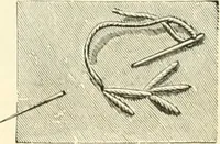 An illustration from Needle-craft: artistic and practical (1889)
