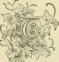 An illustration from Needle-craft: artistic and practical (1889)