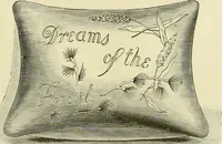 An illustration from Needle-craft: artistic and practical (1889)