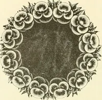 An illustration from Needle-craft: artistic and practical (1889)
