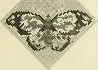 An illustration from Needle-craft: artistic and practical (1889)