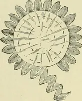 An illustration from Needle-craft: artistic and practical (1889)