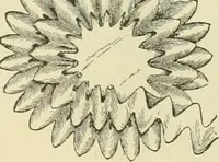 An illustration from Needle-craft: artistic and practical (1889)