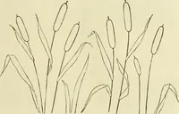 An illustration from Needle-craft: artistic and practical (1889)