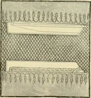 An illustration from Needle-craft: artistic and practical (1889)