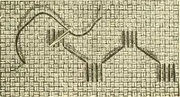An illustration from Needle-craft: artistic and practical (1889)