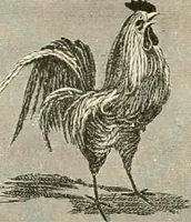 An illustration from Needle-craft: artistic and practical (1889)