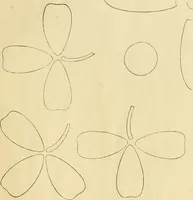 An illustration from Needle-craft: artistic and practical (1889)
