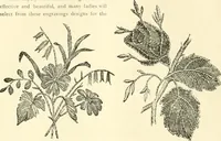 An illustration from Needle-craft: artistic and practical (1889)