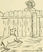 An illustration from Needle-craft: artistic and practical (1889)
