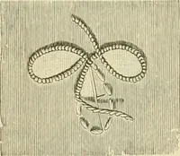 An illustration from Needle-craft: artistic and practical (1889)