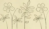 An illustration from Needle-craft: artistic and practical (1889)
