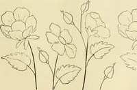 An illustration from Needle-craft: artistic and practical (1889)
