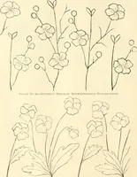 An illustration from Needle-craft: artistic and practical (1889)