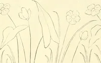 An illustration from Needle-craft: artistic and practical (1889)