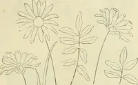 An illustration from Needle-craft: artistic and practical (1889)