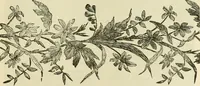 An illustration from Needle-craft: artistic and practical (1889)