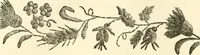 An illustration from Needle-craft: artistic and practical (1889)