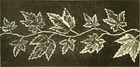 An illustration from Needle-craft: artistic and practical (1889)