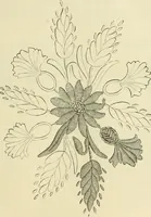 An illustration from Needle-craft: artistic and practical (1889)